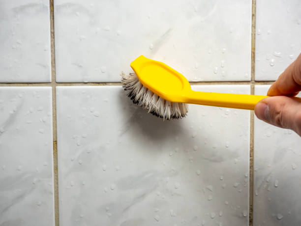 Professional Mold Remediation in Johnson City, TX