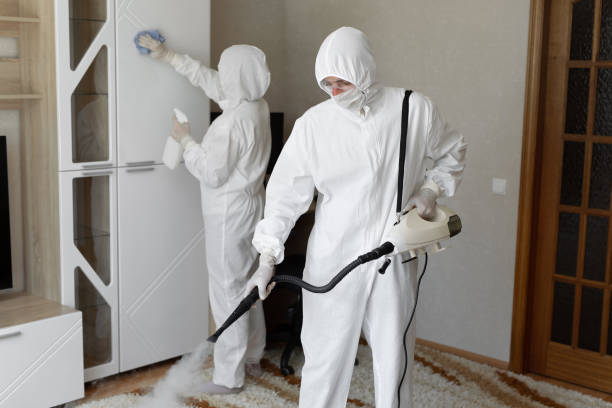 Best Post-Remediation Services in Johnson City, TX